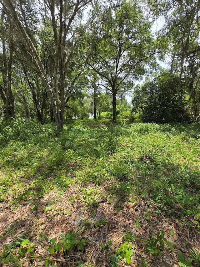 7431 SE 170th Avenue Rd, Ocklawaha, FL 32179 - photo 50