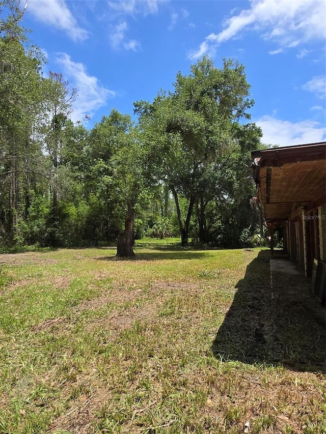 7431 SE 170th Avenue Rd, Ocklawaha, FL 32179 - photo 51