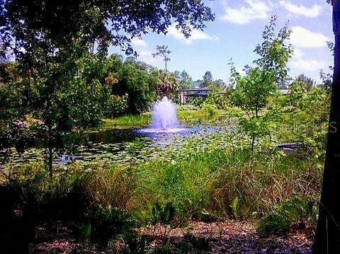 3336 20th Ave SW, Largo, FL 33774 - photo 37