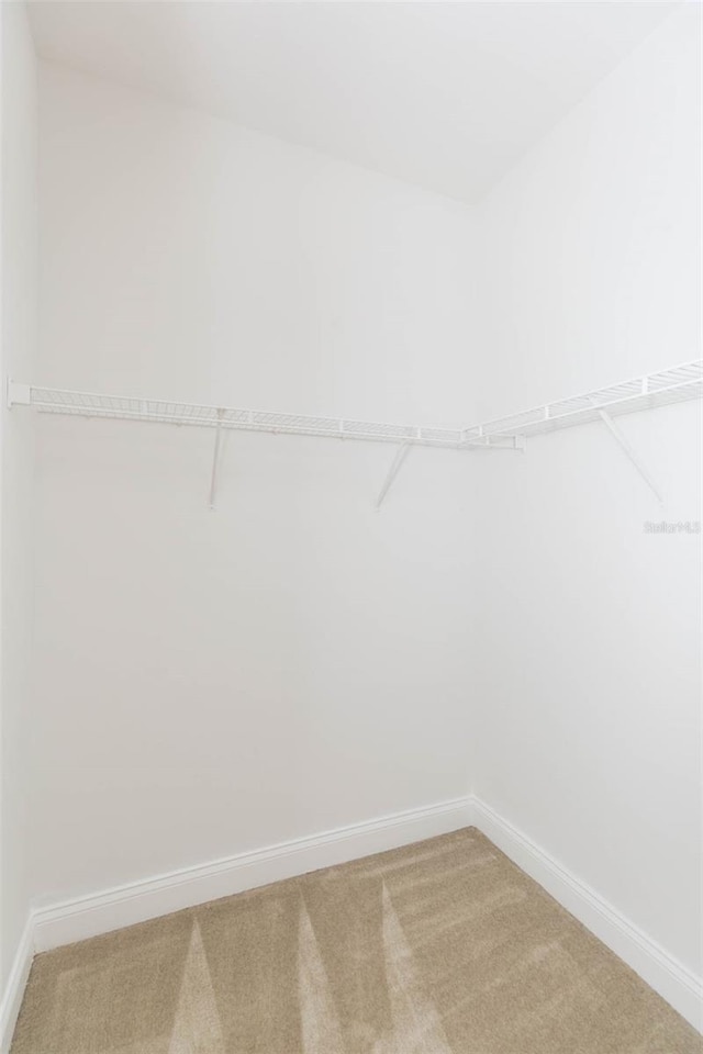4917 W Prescott St, Tampa, FL 33616 - photo 31