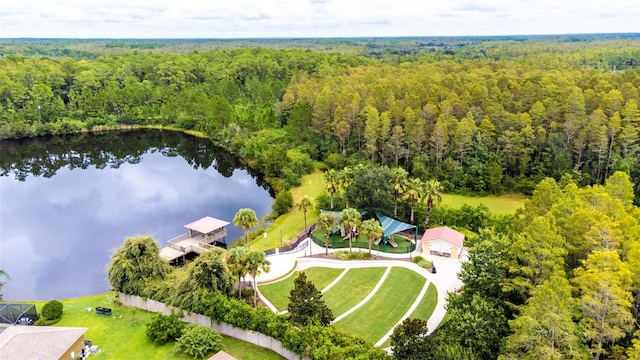 8542 Eagle Brook Dr, Land O Lakes, FL 34638 - photo 80
