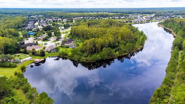 8542 Eagle Brook Dr, Land O Lakes, FL 34638 - photo 82