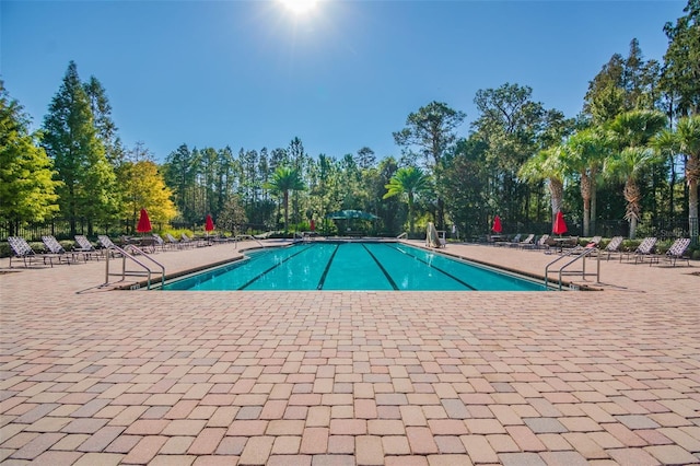 8542 Eagle Brook Dr, Land O Lakes, FL 34638 - photo 90