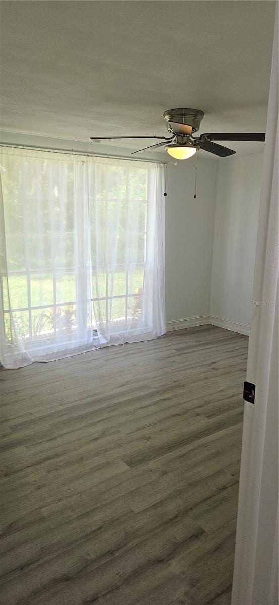 3438 Moog Rd, Holiday, FL 34691 - photo 30