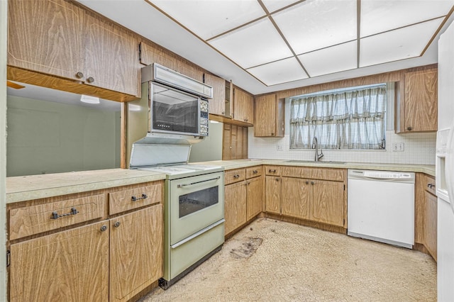 1293 88th Ave N, Saint Petersburg, FL 33702 - photo 12