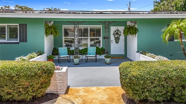 2900 Park St N, Saint Petersburg, FL 33710 - photo 5