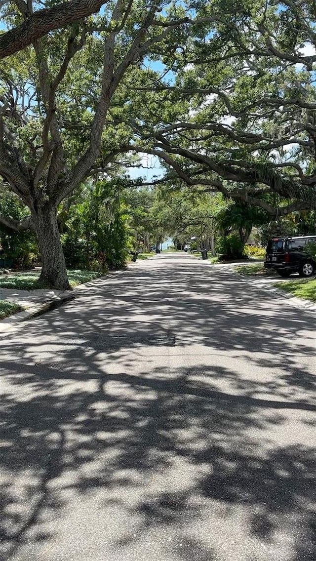2900 Park St N, Saint Petersburg, FL 33710 - photo 8