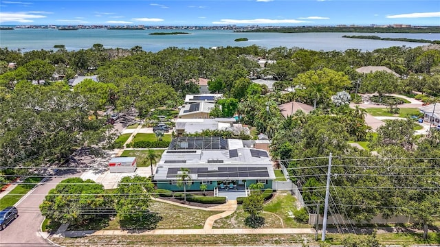 2900 Park St N, Saint Petersburg, FL 33710 - photo 12