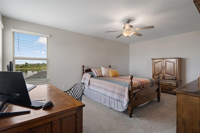 8780 Flourish Dr, Land O Lakes, FL 34637 - photo 46