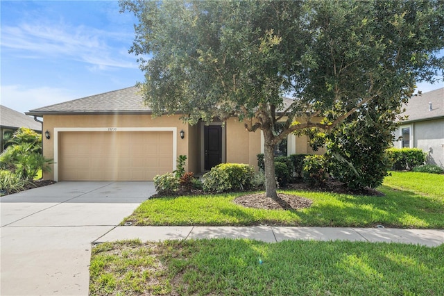 19730 Post Island Loop, Land O Lakes, FL 34638 - photo 2