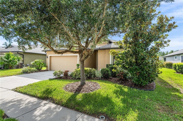19730 Post Island Loop, Land O Lakes, FL 34638 - photo 35