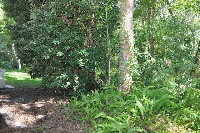 4043 Mermoor Ct, Palm Harbor, FL 34685 - photo 27