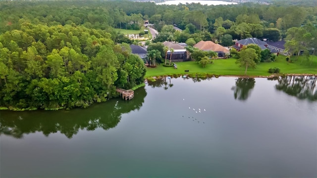 14845 Man O War Dr, Odessa, FL 33556 - photo 65