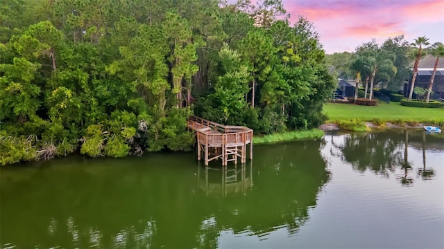 14845 Man O War Dr, Odessa, FL 33556 - photo 67
