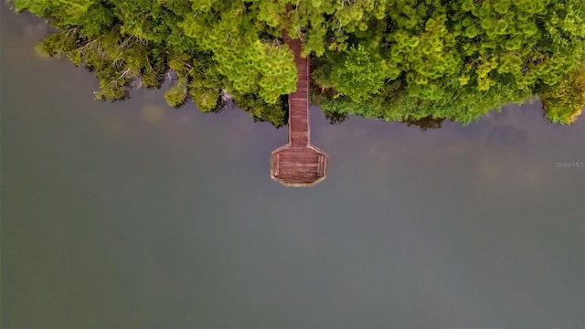14845 Man O War Dr, Odessa, FL 33556 - photo 69