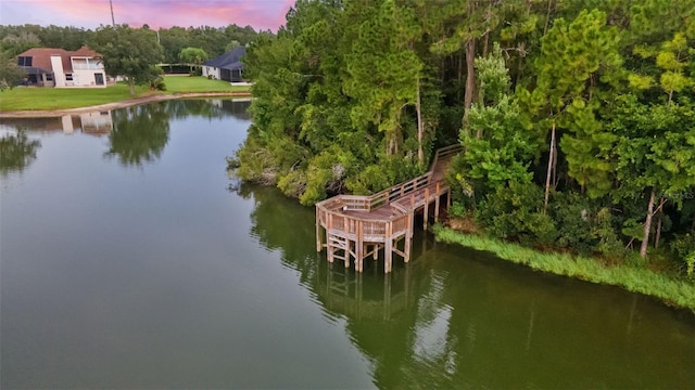 14845 Man O War Dr, Odessa, FL 33556 - photo 66