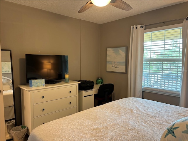 460 S Paula Dr Unit 103, Dunedin, FL 34698 - photo 12