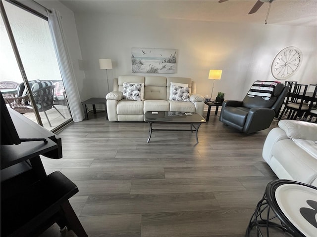 460 S Paula Dr Unit 103, Dunedin, FL 34698 - photo 18