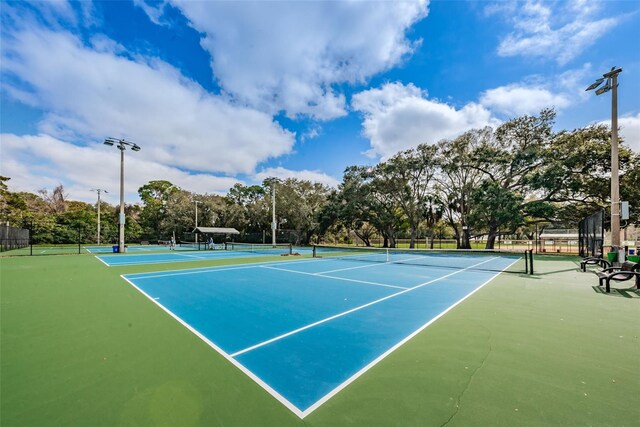 460 S Paula Dr Unit 103, Dunedin, FL 34698 - photo 59