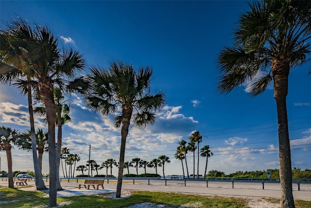 460 S Paula Dr Unit 103, Dunedin, FL 34698 - photo 36
