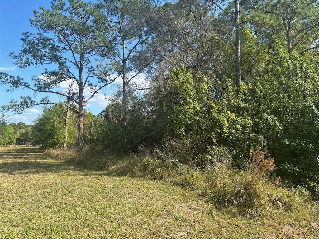 645 N Quebrada St, Clewiston, FL 33440 - photo 3