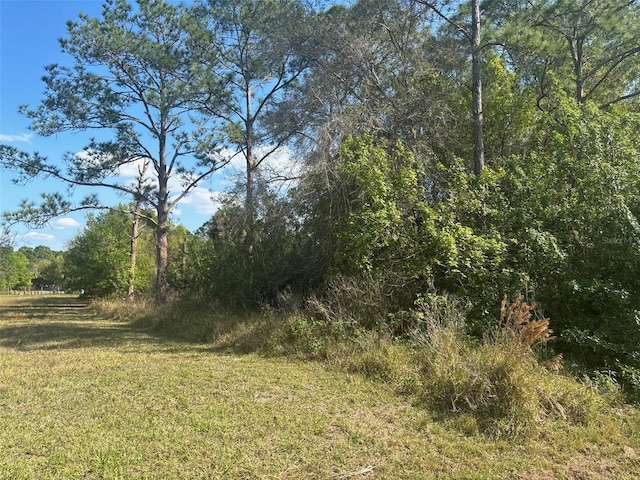645 N Quebrada St, Clewiston, FL 33440 - photo 3