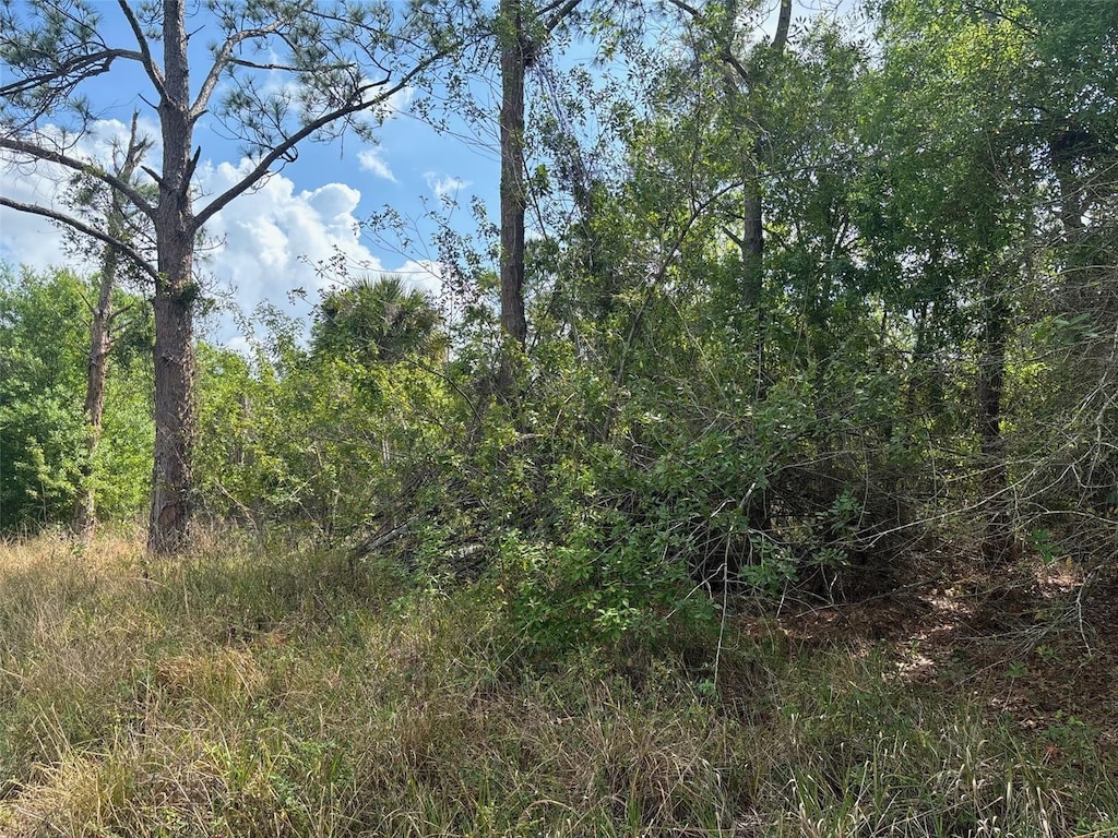 645 N Quebrada St, Clewiston, FL 33440 - photo 4