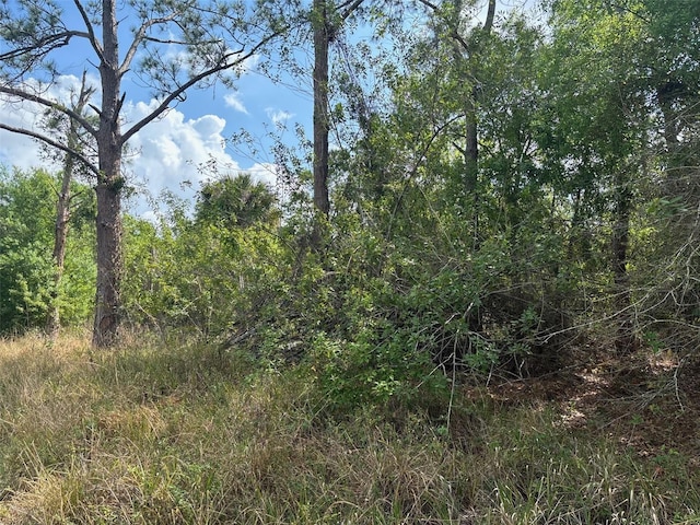 645 N Quebrada St, Clewiston, FL 33440 - photo 4