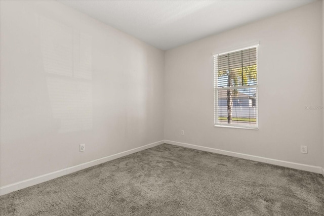 11046 Longleaf Woods Dr, Orlando, FL 32832 - photo 20