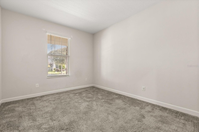 11046 Longleaf Woods Dr, Orlando, FL 32832 - photo 25