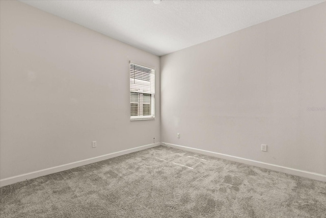 11046 Longleaf Woods Dr, Orlando, FL 32832 - photo 27