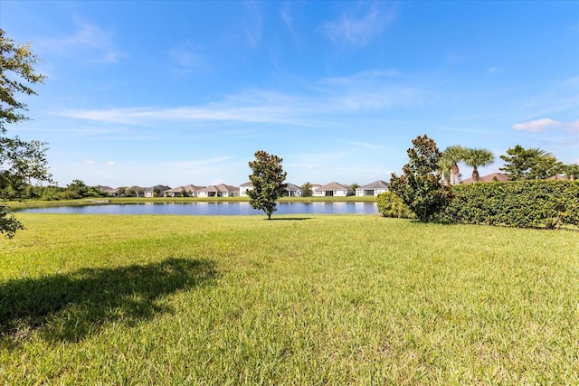 11046 Longleaf Woods Dr, Orlando, FL 32832 - photo 32