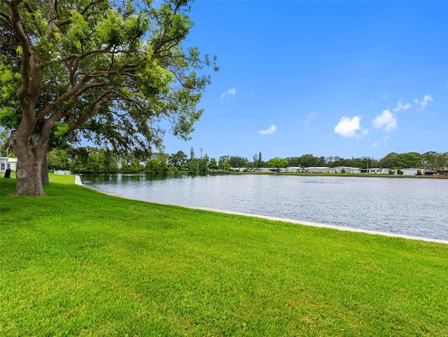 12501 Ulmerton Rd Unit 21, Largo, FL 33774 - photo 23