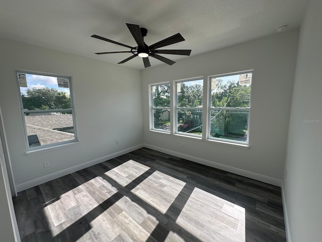 8302 N Marks St, Tampa, FL 33604 - photo 9