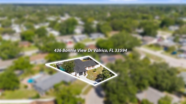 436 Bonnie View Dr, Valrico, FL 33594 - photo 63