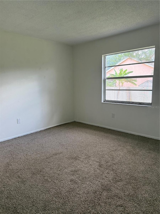 1308 Dukes Dr, Tarpon Springs, FL 34689 - photo 22