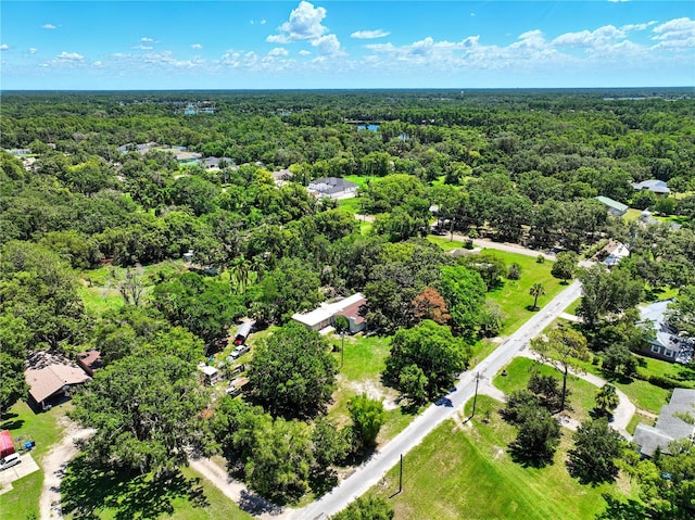 1003 Friendship Ln, Lutz, FL 33548 - photo 3