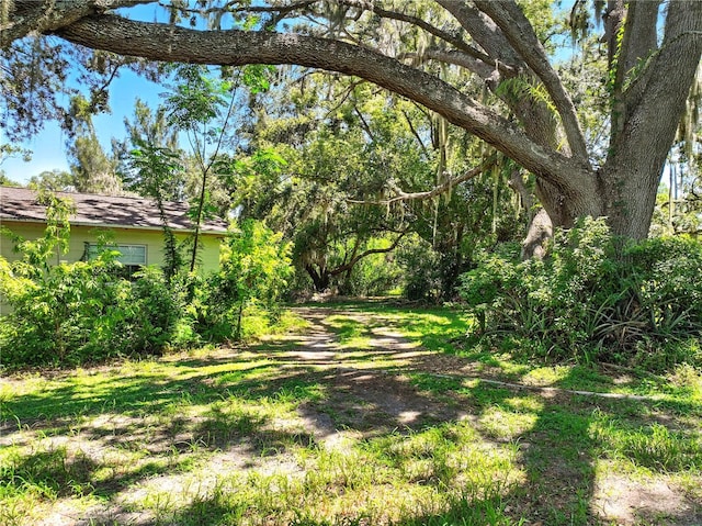 1003 Friendship Ln, Lutz, FL 33548 - photo 6