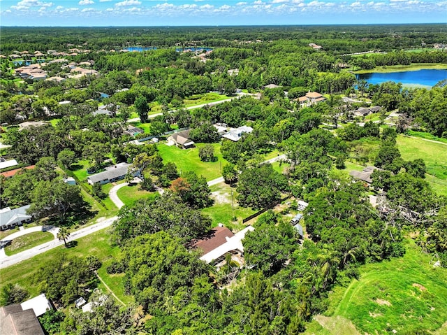 1003 Friendship Ln, Lutz, FL 33548 - photo 8