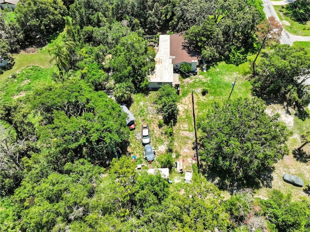 1003 Friendship Ln, Lutz, FL 33548 - photo 12