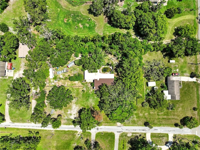 1003 Friendship Ln, Lutz, FL 33548 - photo 14