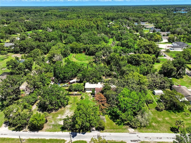 1003 Friendship Ln, Lutz, FL 33548 - photo 15