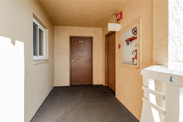 8950 Park Blvd Unit 410, Seminole, FL 33777 - photo 4
