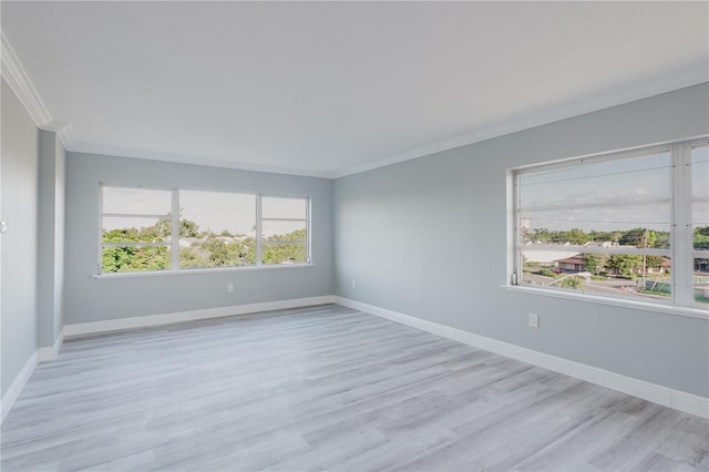 8950 Park Blvd Unit 410, Seminole, FL 33777 - photo 8