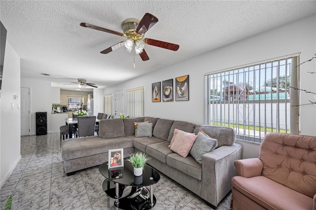 4127 W Comanche Ave, Tampa, FL 33614 - photo 24