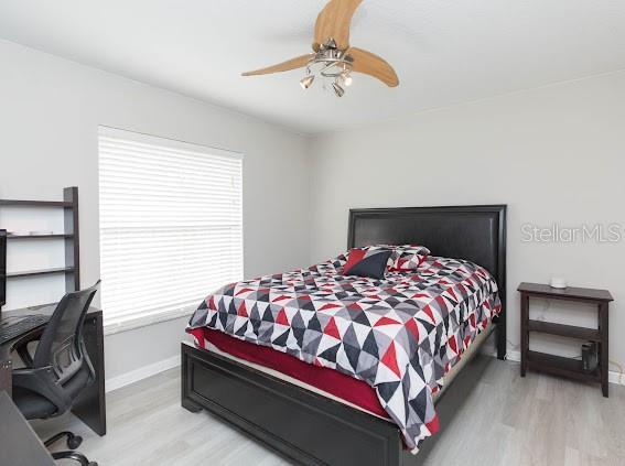 23635 Oakside Blvd, Lutz, FL 33559 - photo 22