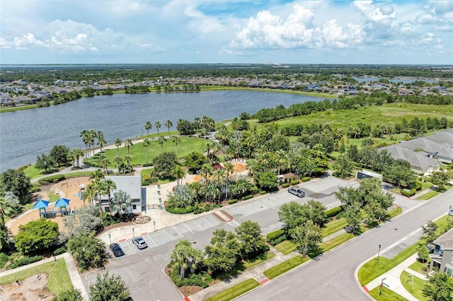 6322 Lantern View Pl, Apollo Beach, FL 33572 - photo 54
