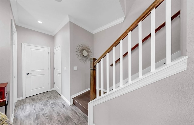 6718 Rocky Park St, Tampa, FL 33625 - photo 26