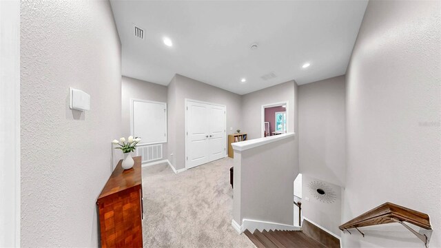 6718 Rocky Park St, Tampa, FL 33625 - photo 32