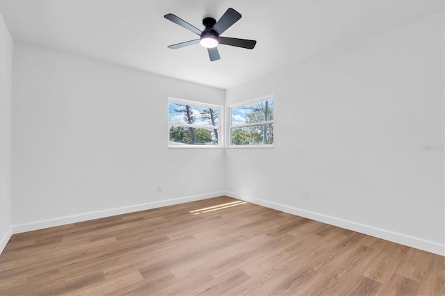 6280 Dr Martin Luther King Jr St S, Saint Petersburg, FL 33705 - photo 13